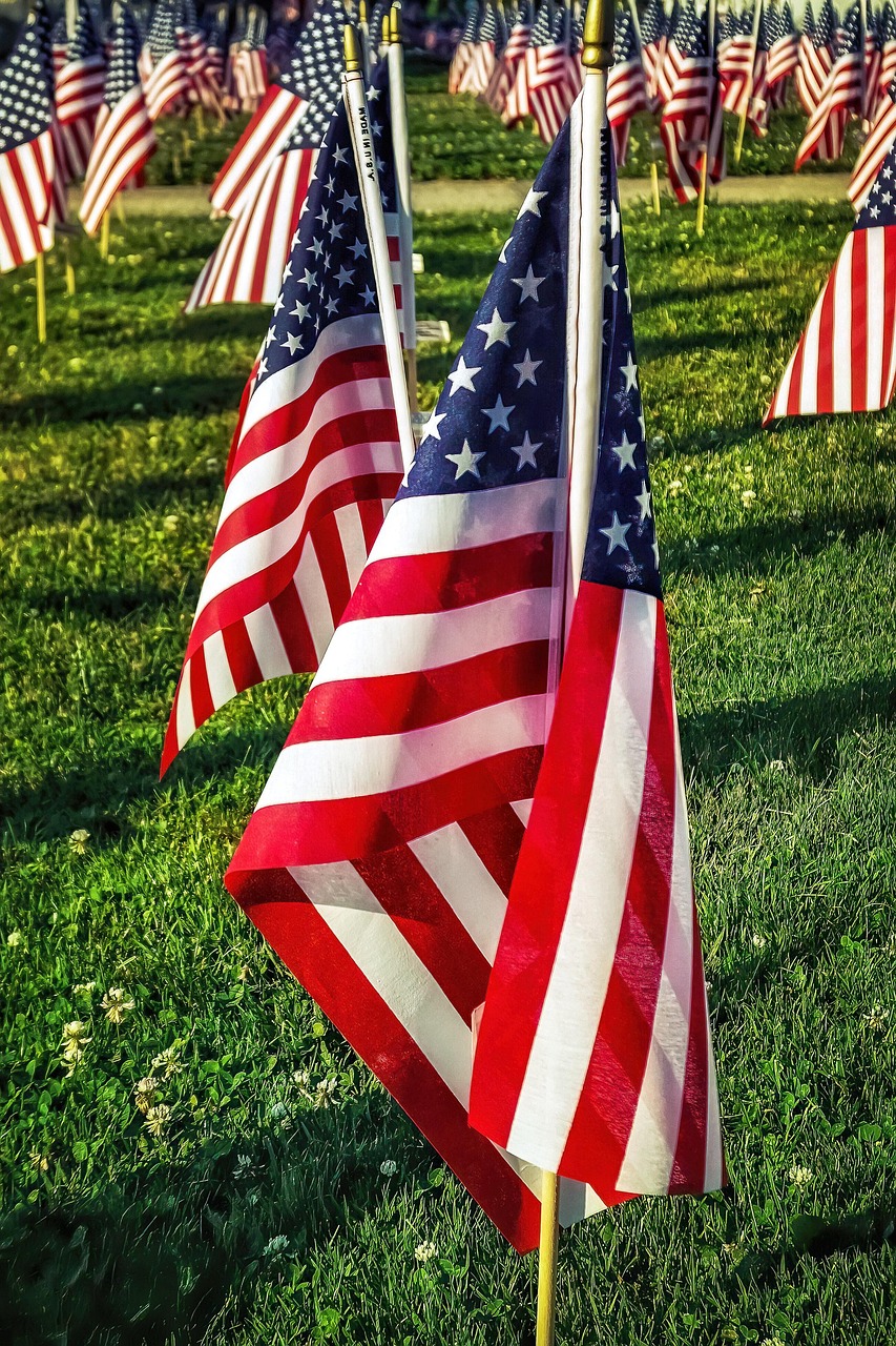 Flags in a field